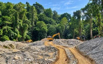Excavator terlihat beroperasi di kawasan yang diduga menjadi lokasi aktivitas pertambangan di Kecamatan Wonosari, Kabupaten Boalemo/Hibata.id
