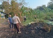 Tim gabungan melakukan pemadaman dan pendinginan pada titik kebakaran lahan di wilayah Balikpapan/Hibata.id
