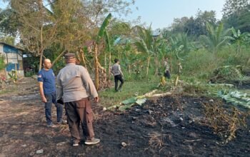 Tim gabungan melakukan pemadaman dan pendinginan pada titik kebakaran lahan di wilayah Balikpapan/Hibata.id
