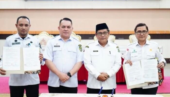 Pemkot Gorontalo Luncurkan GO-ASN, Layanan Kepegawaian Terintegrasi