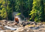 Tambang Ilegal Hutan Taluditi Beroperasi, Polisi Justru Masih Koordinasi