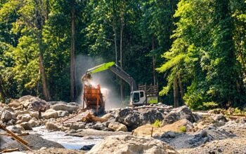 Tambang Ilegal Hutan Taluditi Beroperasi, Polisi Justru Masih Koordinasi