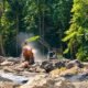 Tambang Ilegal Hutan Taluditi Beroperasi, Polisi Baru Akan Koordinasi/Hibata.id