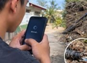 Jaringan Internet Telkomsel di Pohuwato Lemot/Hibata.id