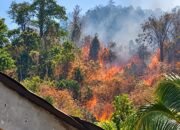 Karhutla di Desa Pelita Hijau, Kecamatan Bonepantai, Kabupaten Bone Bolango, mulai mendekati permukiman warga/Hibata.id