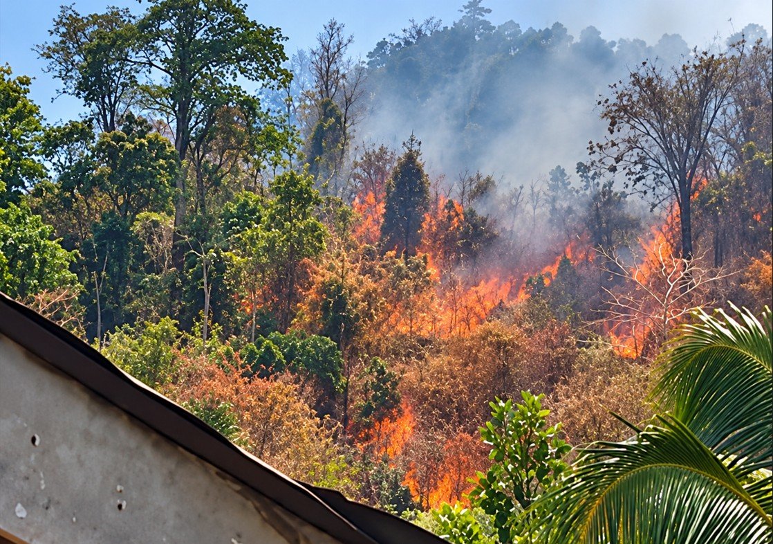 Karhutla di Desa Pelita Hijau, Kecamatan Bonepantai, Kabupaten Bone Bolango, mulai mendekati permukiman warga/Hibata.id