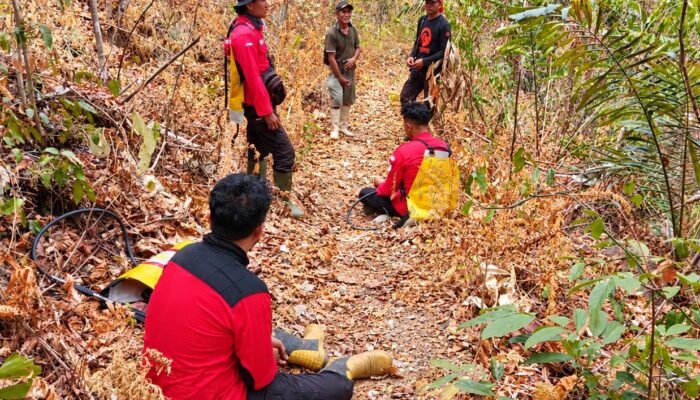 Karhutla Pelita Hijau, Ribuan Pohon Kemiri dan Cengkeh Ludes Terbakar