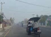 Jalanan Kota Gorontalo diselimuti asap. BMKG mencatat kecepatan angin maksimum 14 knot pada 9–11 Oktober 2026 yang menjadi salah satu faktor dalam analisis sebaran asap karhutla/Hibata.id
