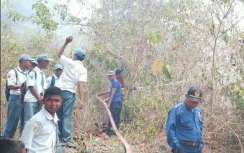 Pemadan berusaha melakukan pemadaman kebakaran lahan di Kabupaten Buton Tengah, Sulawesi Tenggara/Hibata.id