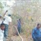 Pemadan berusaha melakukan pemadaman kebakaran lahan di Kabupaten Buton Tengah, Sulawesi Tenggara/Hibata.id