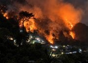 Kebakaran di kawasan PETI Titik Bor 18, Suwawa Timur, Bone Bolango, dilaporkan berlangsung sekitar sepekan. Saksi menduga sejumlah kamp penambang ikut terbakar/Hibata.id