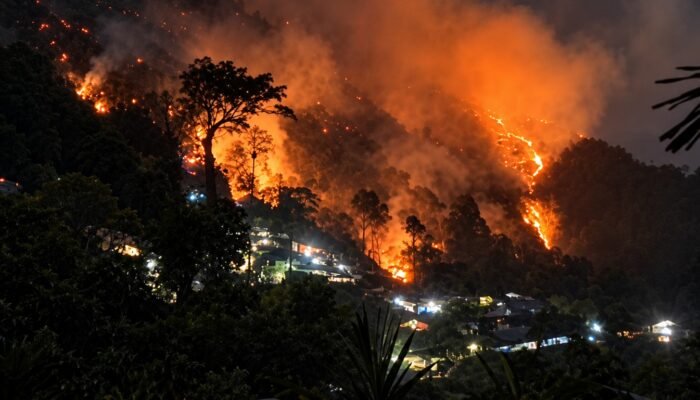 Kebakaran di Tambang Ilegal Titik Bor 18 Suwawa Tanpa Penanganan