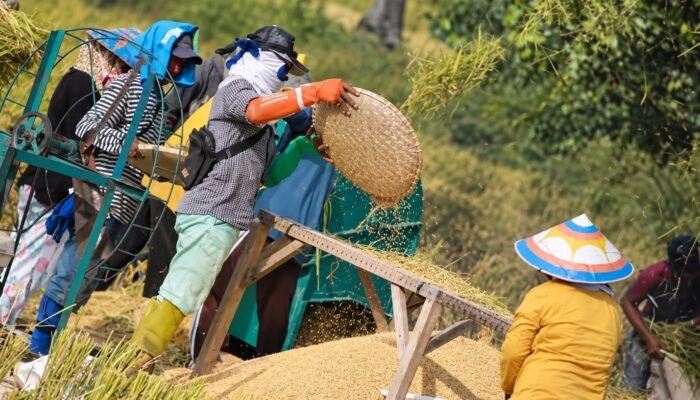 Petani dan Nelayan Jadi Kelompok Rentan Kemiskinan di Gorontalo