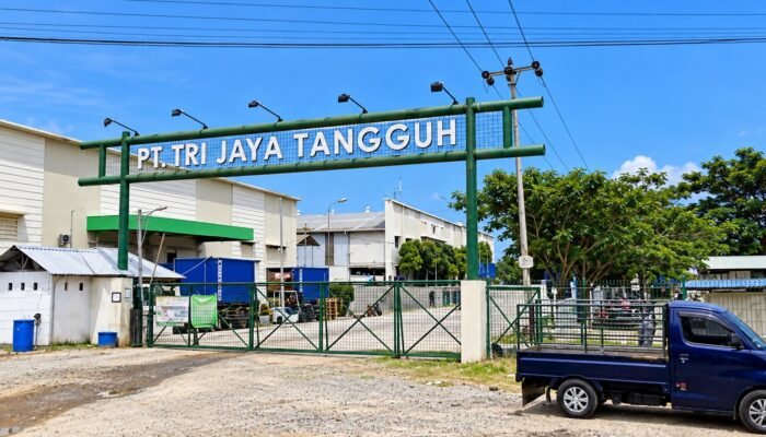 2 WNA di PT Tri Jaya Tangguh, Visa Bisnis Bukan Tiket Bebas Bekerja