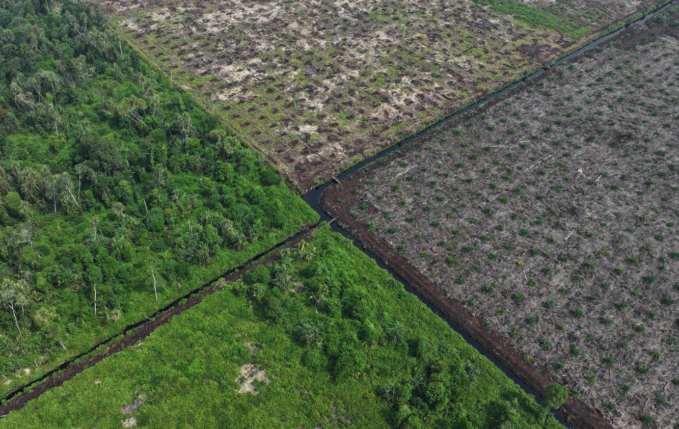 Koalisi Jaga Hutan merilis tiga laporan mengenai dugaan pelanggaran HAM, konflik masyarakat adat, dan deforestasi di konsesi kehutanan Sumatra dan Kalimantan/Hibata.id