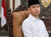 Gibran Rakabuming Raka/Hibata.id