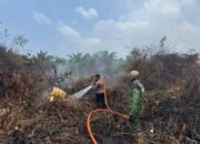 Tim gabungan melakukan pemadaman kebakaran hutan dan lahan di Desa Giripurwa, Kecamatan Penajam, Kabupaten Penajam Paser Utara, Rabu (30/9/2026)/Hibata.id