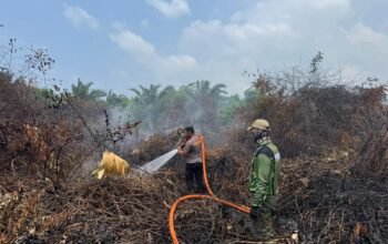 Tim gabungan melakukan pemadaman kebakaran hutan dan lahan di Desa Giripurwa, Kecamatan Penajam, Kabupaten Penajam Paser Utara, Rabu (30/9/2026)/Hibata.id