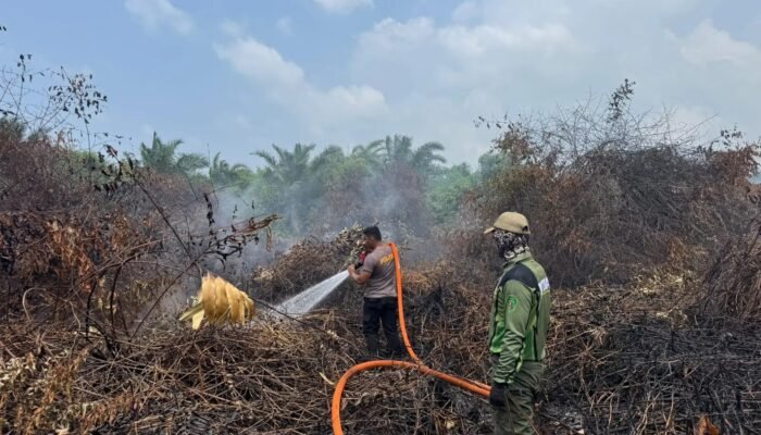 Karhutla di Penajam Padam Setelah Ditangani Tim Lintas Instansi