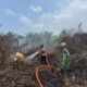 Tim gabungan melakukan pemadaman kebakaran hutan dan lahan di Desa Giripurwa, Kecamatan Penajam, Kabupaten Penajam Paser Utara, Rabu (30/9/2026)/Hibata.id