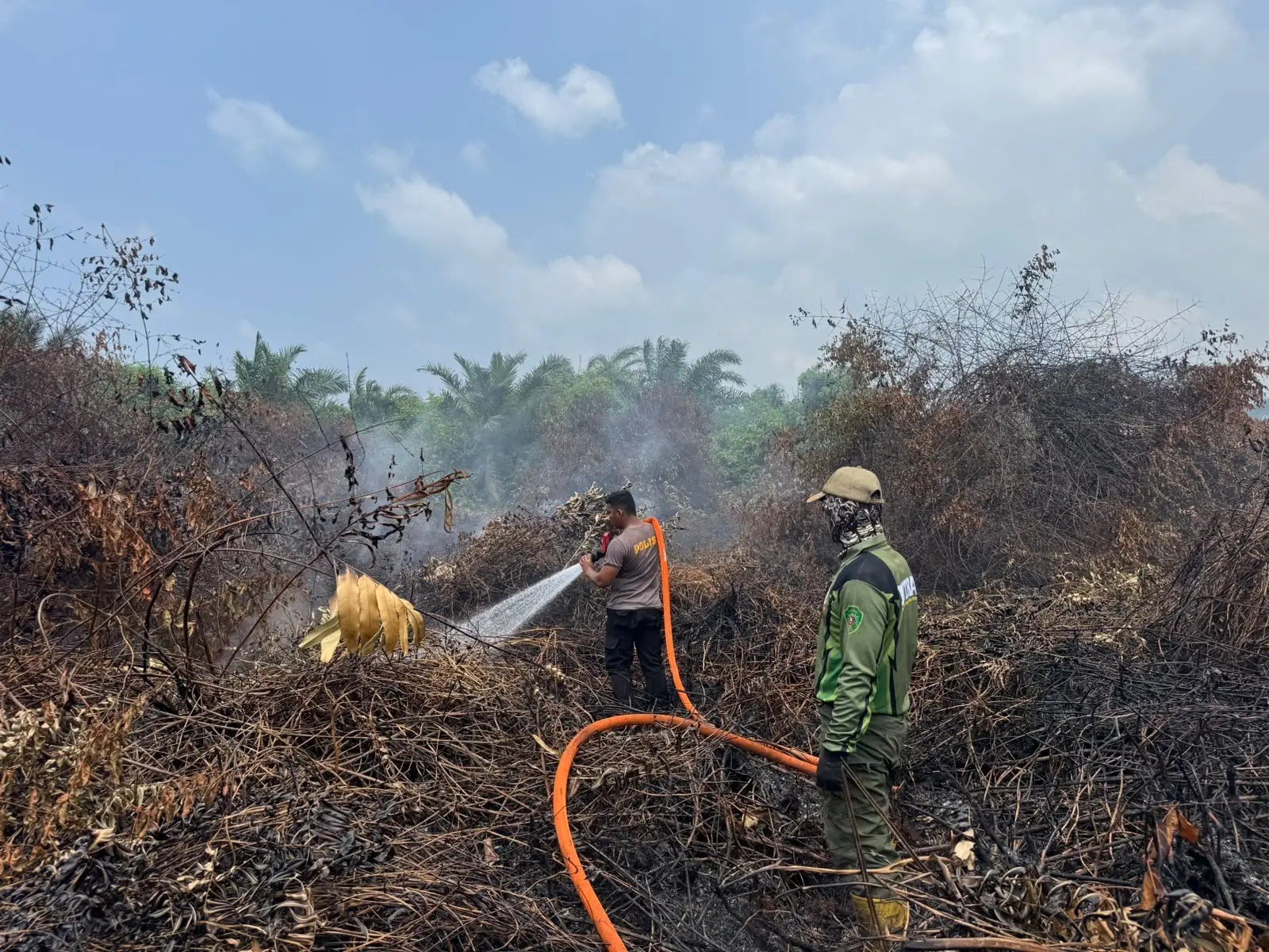 Tim gabungan melakukan pemadaman kebakaran hutan dan lahan di Desa Giripurwa, Kecamatan Penajam, Kabupaten Penajam Paser Utara, Rabu (30/9/2026)/Hibata.id