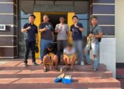 Satresnarkoba Polres Pohuwato mengamankan dua pria dalam penindakan dugaan kepemilikan sabu di sebuah kamar kos di Desa Sipatana, Kecamatan Buntulia/Hibata.id