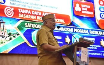 Wakil Bupati Gorontalo Tonny S. Junus/Hibata.id